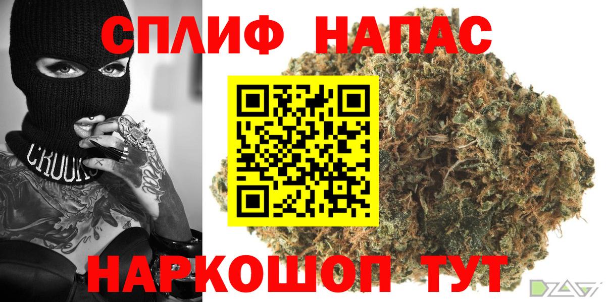 Конопля гибрид Шелехов